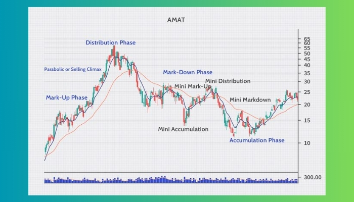 Understanding Market Cycles